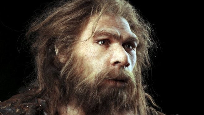 Awesome Animal - Neanderthal - Stan C. Smith